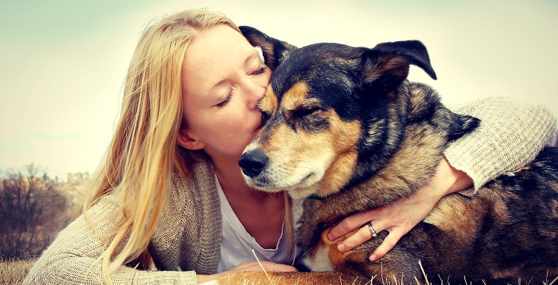 16 razões para você ser grato ao seu cachorro