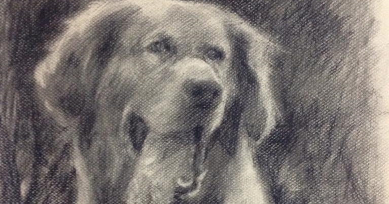 Já pensou ter um desenho do seu cachorro feito com carvão?