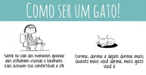 Guia passo a passo do que é necessário saber para ser um gato.