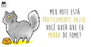 Livro ilustra como os gatos enxergam o mundo. É hilário!