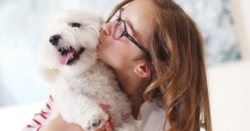 Será que seu pet é feliz? • It Pet Blog