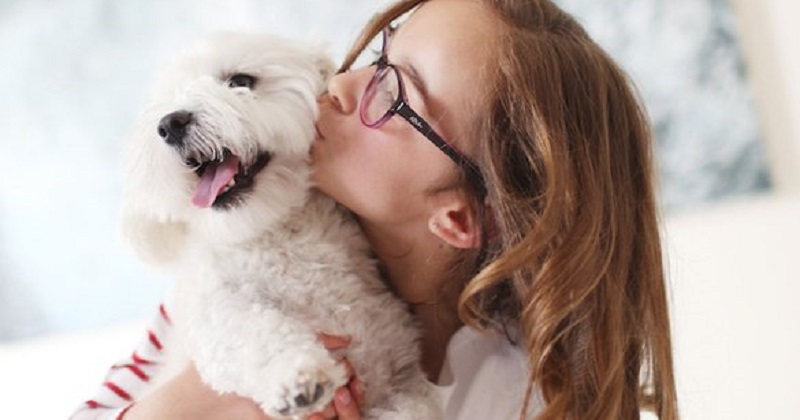 Um cachorro feliz faz você feliz