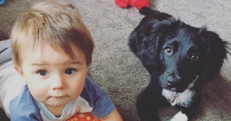 12 melhores momentos de crianças com seu cachorro