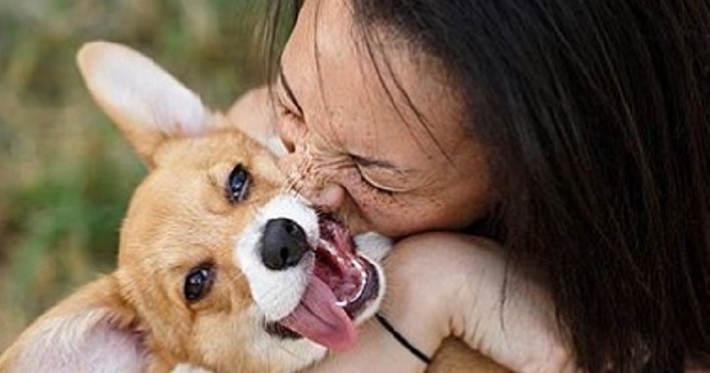 10 motivos do seu cachorro amar tanto você