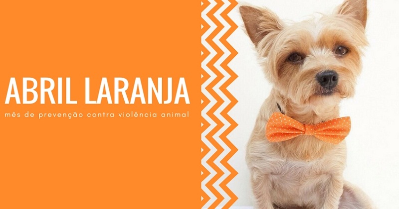 ABRIL LARANJA mês de prevenção da crueldade contra os animais