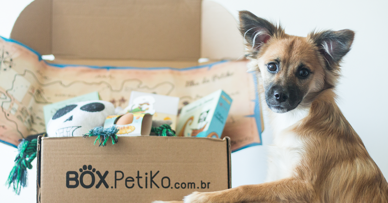 Tudo o que você precisa saber sobre BOX.Petiko