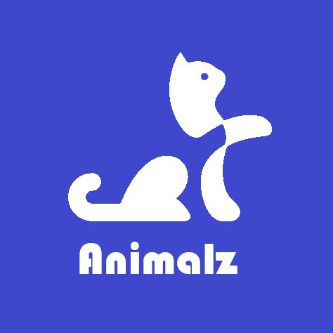 Animalz