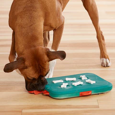 Almofadas de lamber para cães  Jogos de exercícios divertidos