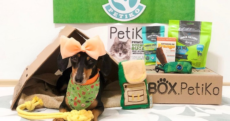 Por Que os Brinquedos para Cães da Petiko São os Ideais Para seu Pet?
