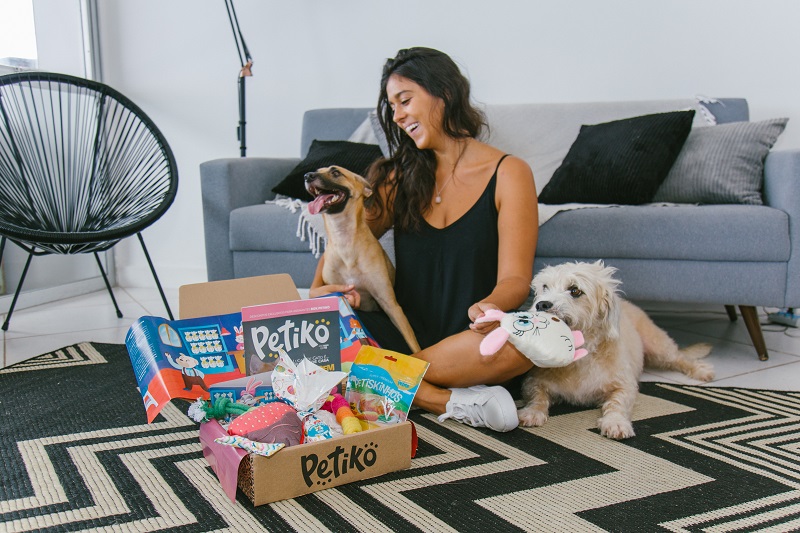 Brinquedos para enriquecimento ambiental canino!