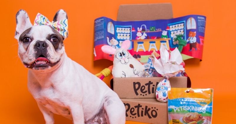 Você Sabe Quais São os Tipos de Brinquedos de Enriquecimento Ambiental? Venha Conhecer!