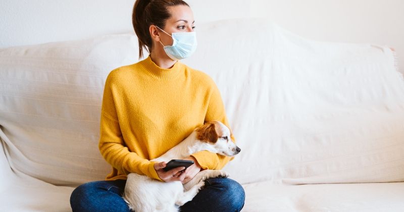 Meu Pet Pode Transmitir o Novo Coronavírus?