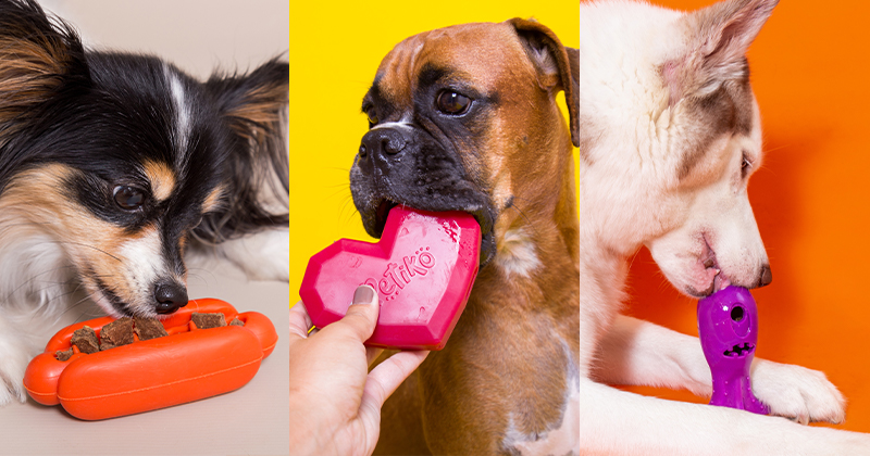 Brinquedos Recheáveis: Conheça Essa Diversão Interativa Para Cachorro
