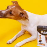 Cachorro comendo petisco da Petiko