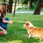 Cachorro brincando com sua tutora ao ar livre