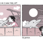 Cuidado com os golfinhos