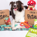 Cachorro com BOX.Petiko edição Insetos de 2021