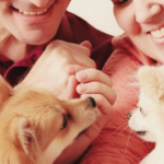 Família multiespécie: entenda o que é