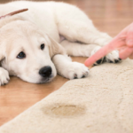 Necessidades no lugar errado: como resolver?