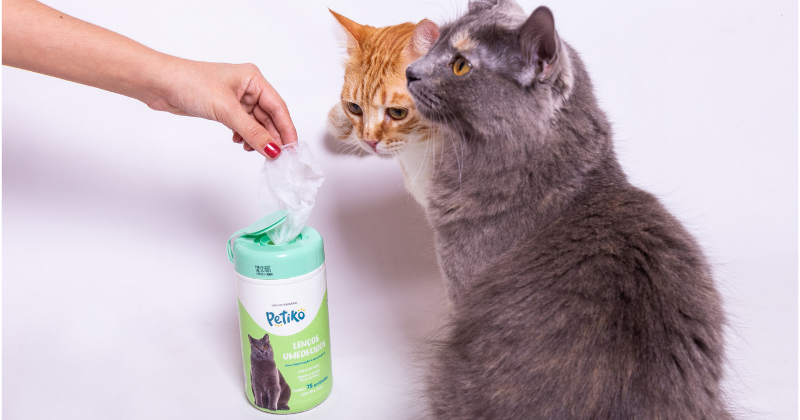 Novidade: Lenços Umedecidos para Gatos da Petiko