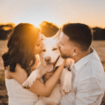 Cachorro gosta de receber carinho? Descubra agora!