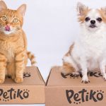 BOX.Petiko para cachorro e gato