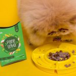 Panelinha: mais benefícios para a alimentação dos pets
