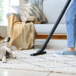 Casa com pets: saiba como manter a limpeza do ambiente