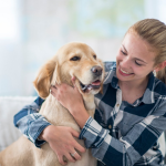 4 raças de cães mais leais e obedientes