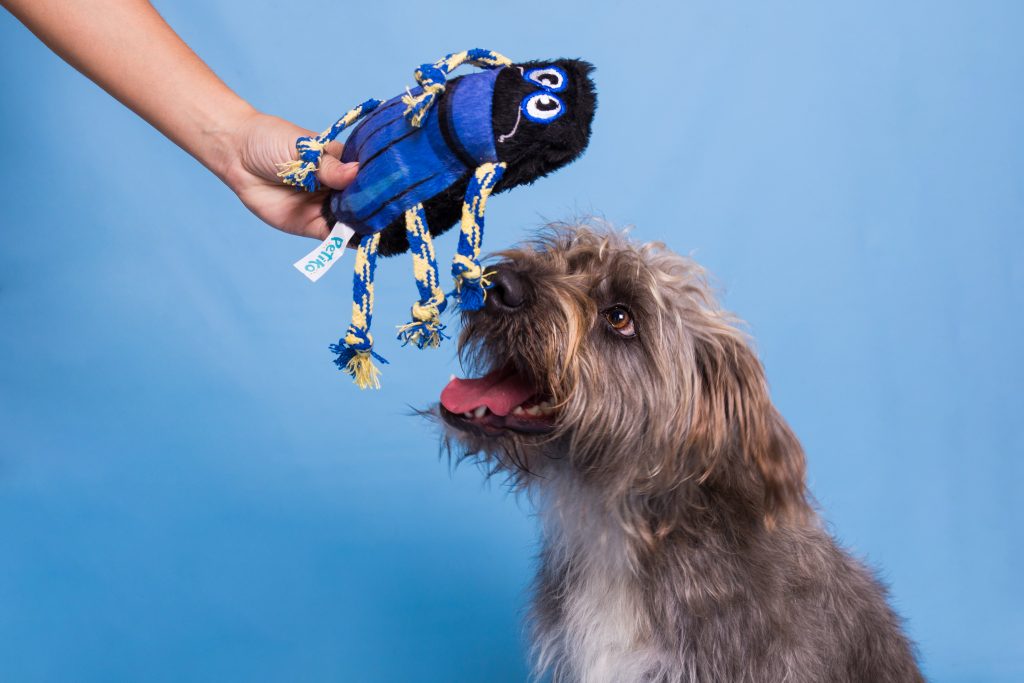 Brinquedo para cachorro da Petiko