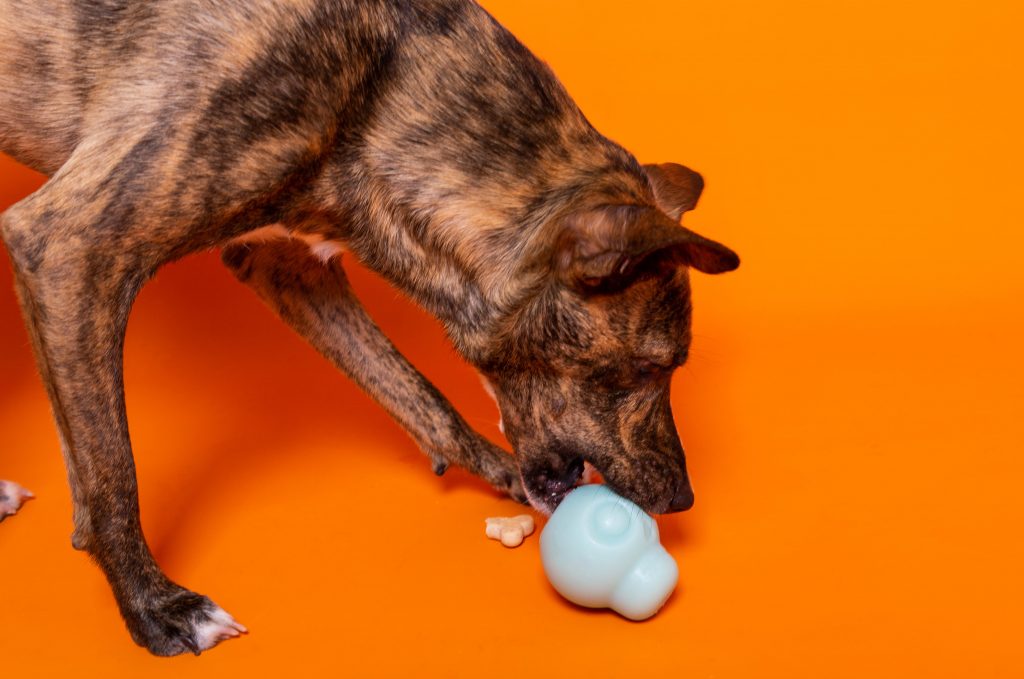 Brinquedo recheável para cachorro da Petiko