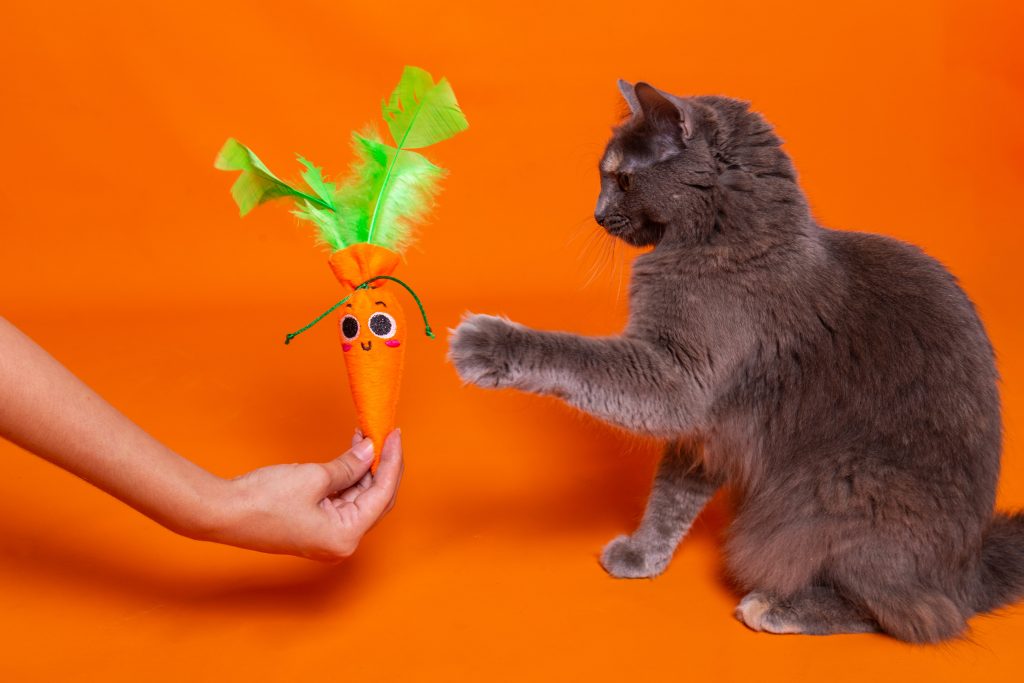 Brinquedo para gato da Petiko