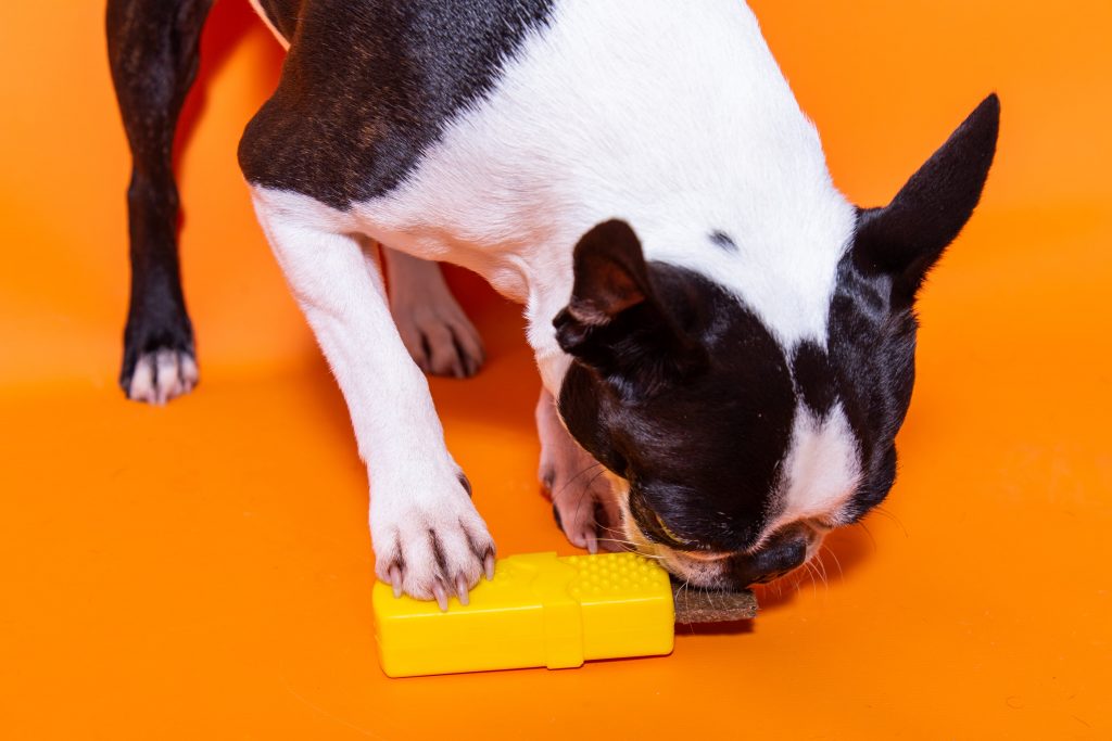 Brinquedo recheável para cachorro da Petiko