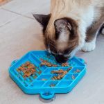 Gato comendo sachê no comedouro lento