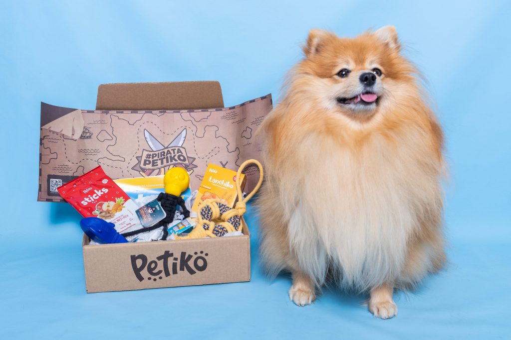 BOX.Petiko - 3 cuidados com brinquedos caseiros para os pets