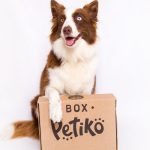 BOX.Petiko: o maior clube de assinatura pet do Brasil