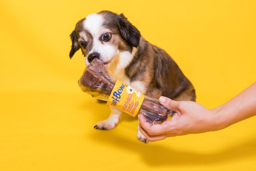 Fêmur suíno – Beefbone para cachorro enviado no BOX.Petiko