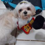 História de assinante do BOX.Petiko: conheça o Pixel