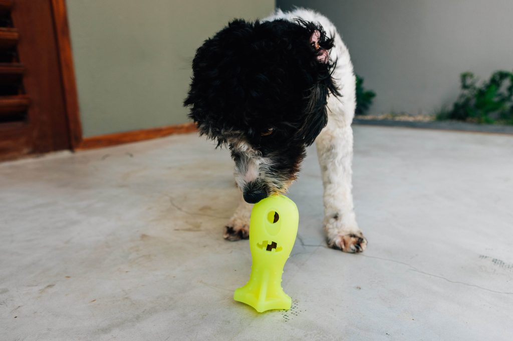 Brinquedo recheável para cachorro da Petiko