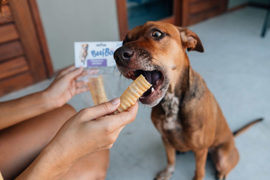 Traqueia Bovina – Beefbone enviado no BOX.Petiko para cachorro