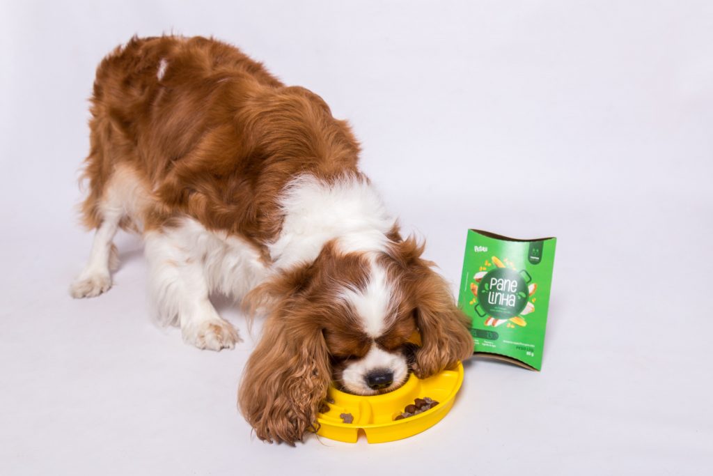 Alimento úmido, topper Panelinha da Petiko para pets