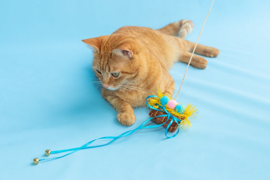 Brinquedo varinha Caça aos Ovos para gatos enviado no BOX.Petiko