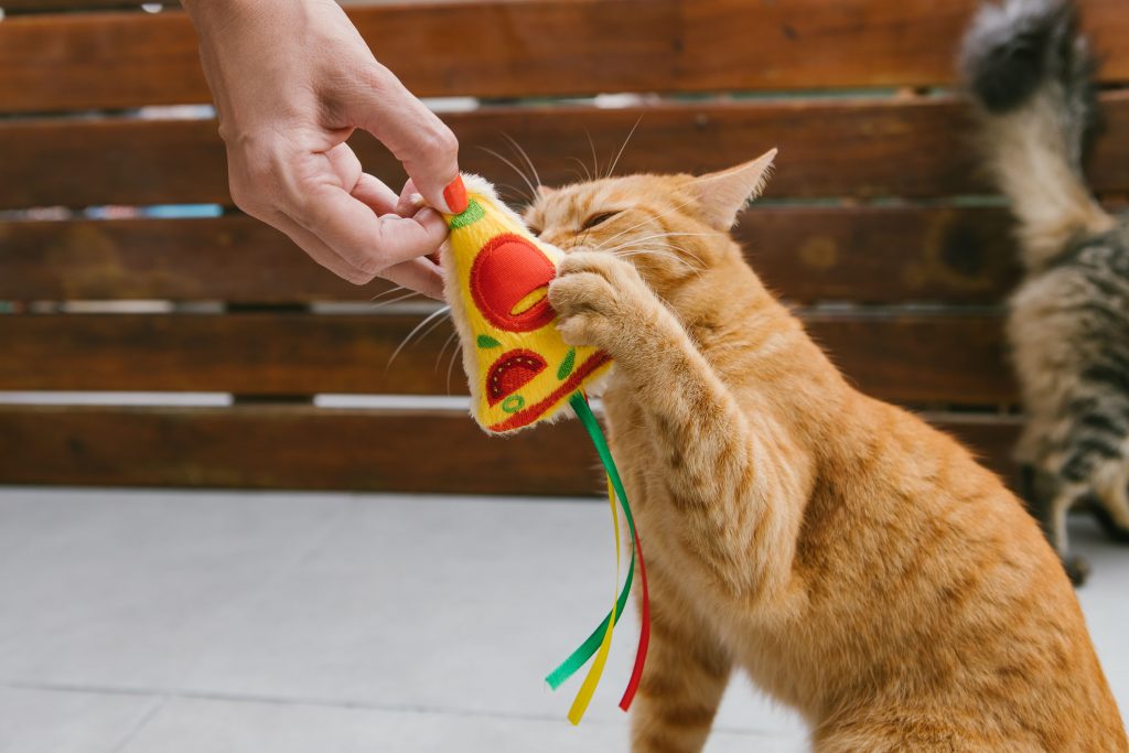 Brinquedo de pelúcia enviada no BOX.Petiko para gatos