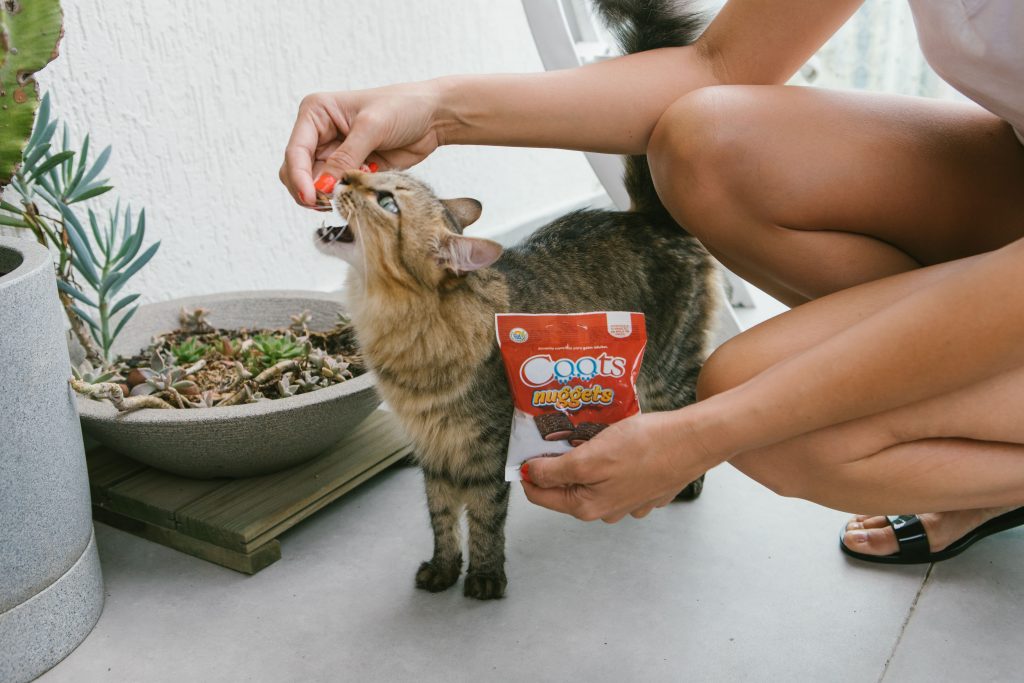 Petiscos Caats Nuggets nos sabores Carne e Frango enviado no BOX.Petiko