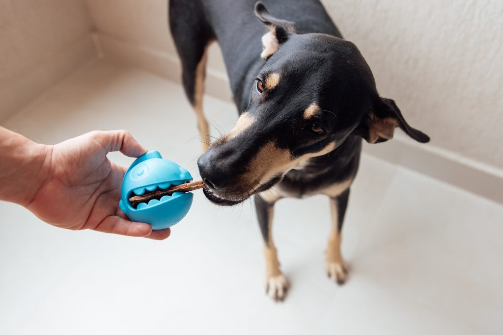 Brinquedo recheável enviado no BOX.Petiko para cães