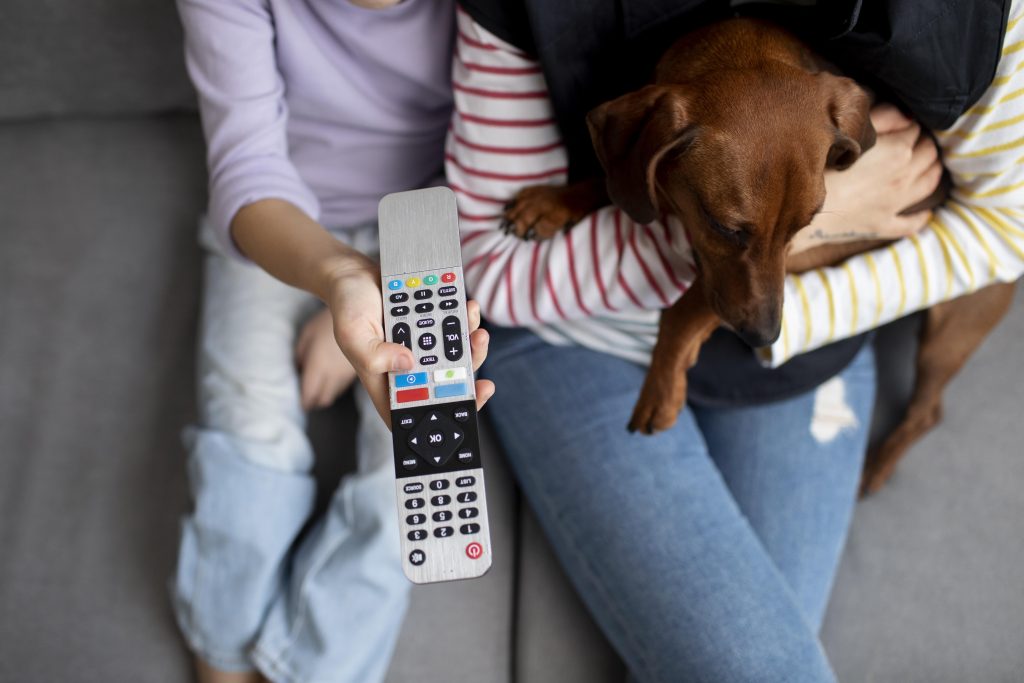 Cachorro assistindo TV