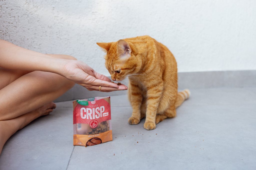 Petisco Iscas de Salmão - Natural Crisp enviado no BOX.Petiko de festa junina para gatos