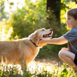 Cachorro e criança brincando