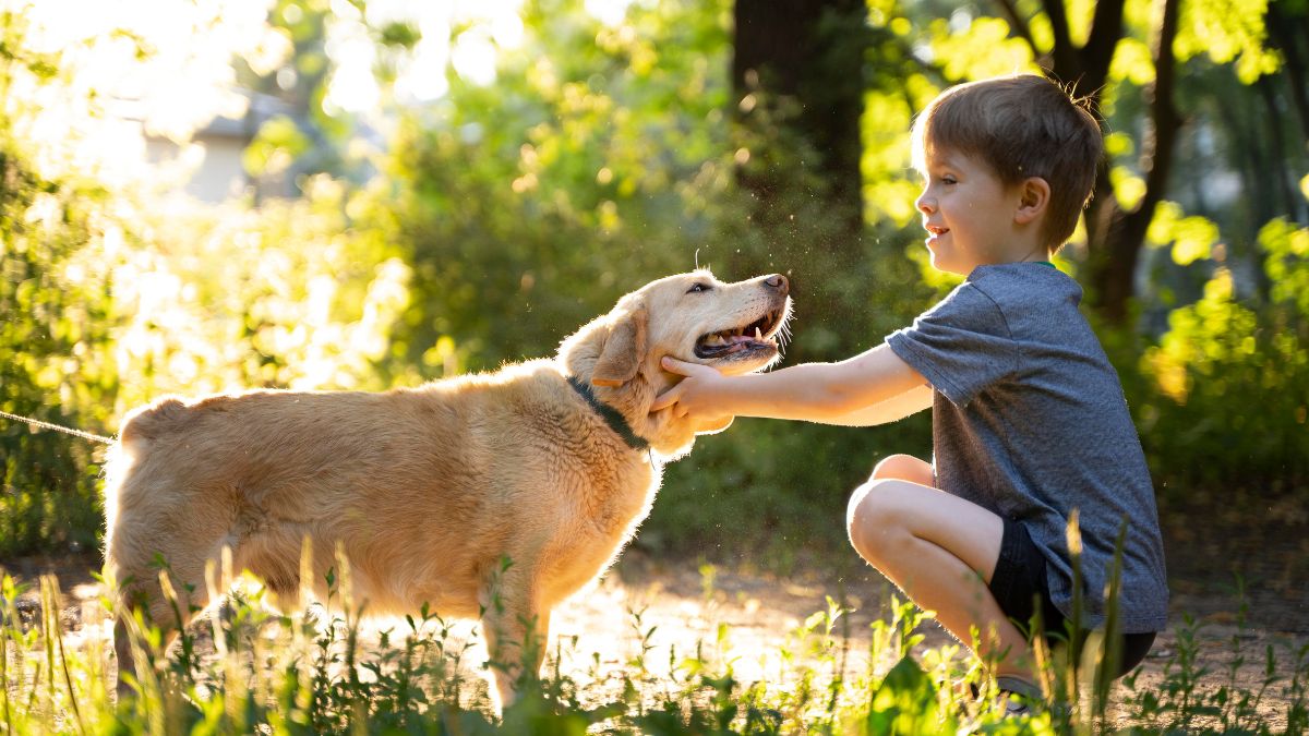 Cachorro e criança: entenda sobre o instinto protetor