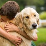 Cachorro sendo abraçado por criança